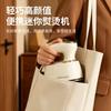 Royalstar Electric Iron
