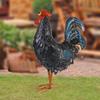 Rooster Garden Statue Chicken Yard Art Sculpture Animal Figurine Patio Home Backyard Porch Quirky