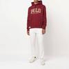 Polo Ralph Lauren FW22 Sweatshirt Men's Red 710878613-004