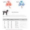 Breathable Puppy Chest Strap Adjustable Dog Harness Vest Dog Accessories Dog Leash Vest  Chihuahua