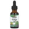 Ginkgo Leaf Liquid Extract, Alcohol-Free, 2,000 Mg, 1 Fl Oz (30 Ml)