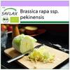 Organic - Chinese Cabbage - Granat - 40 Seeds - Brassica Rapa