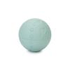 Biztis Dog Rubber Ball Toy (Green)
