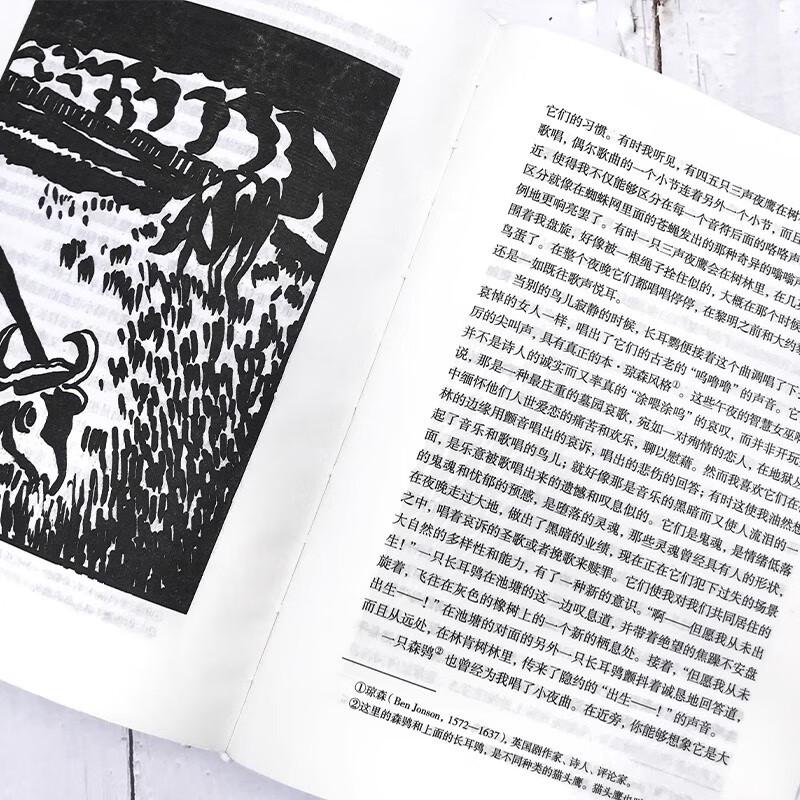Уолден (Край Кисти Издание) Книга в твердом переплете
