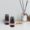 10ml Ginger Essential Oil for Perfume Candles Making Spa Massage Humidifier Rose Jasmine Pine Needles Tangerine Thyme Gift