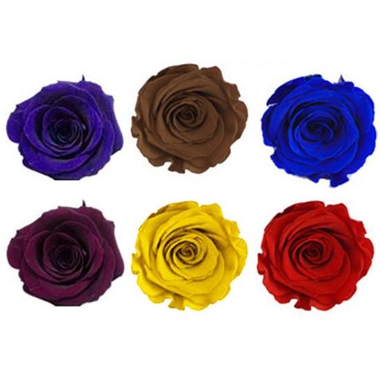 8 шт./коробка 4-5 см стабилизированный цветок бессмертная роза сделай сам Валентин свадьба праздничный подарок