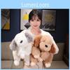 Plush Toy Puppy Cute Cartoon Dog Stuffed Animal Doll Room Decoration Gift Kids