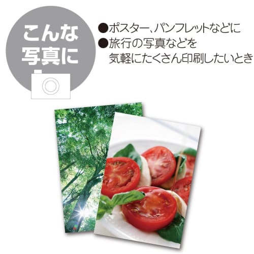 KOKUYO Inkjet Printer Paper Photo Paper Glossy Paper A4 50 Sheets KJ-G14A4-50