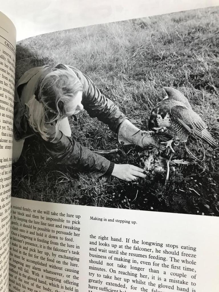 [Б/У] Соколиная охота: Искусство и практика (Пересмотренная редакция)
