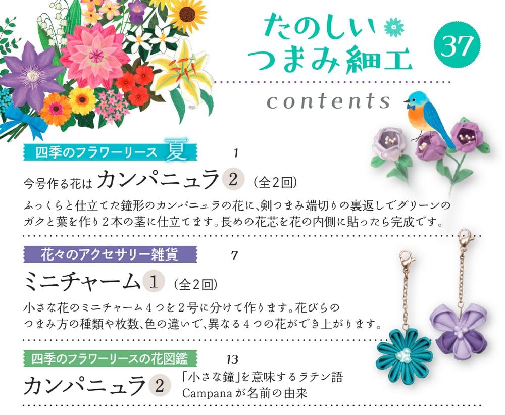 Веселый Цумаму Дзаику 37 Но. [Энциклопедия] (с комплектом)