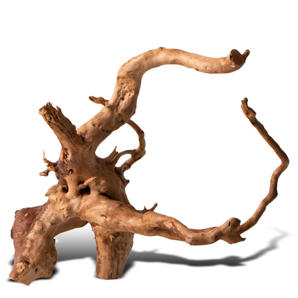 Japanese Natural Aquarium Root 20-50L Mizube Ryuboku