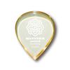 Master 8 Japan INFINIX MEGA SLICE TEARDROP Teardrop Extra Thick Guitar Pick IFM-TD250 2.5mm