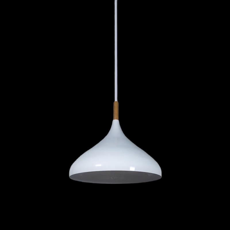 Minimalist Modern Rechargeable Pendant Light
