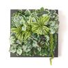 [Supervised and Produced by a Professional Flower Designer] Made In Japan by Couleur Faux Wall Greenery [Deodorizing with Photocatalytic Processing]