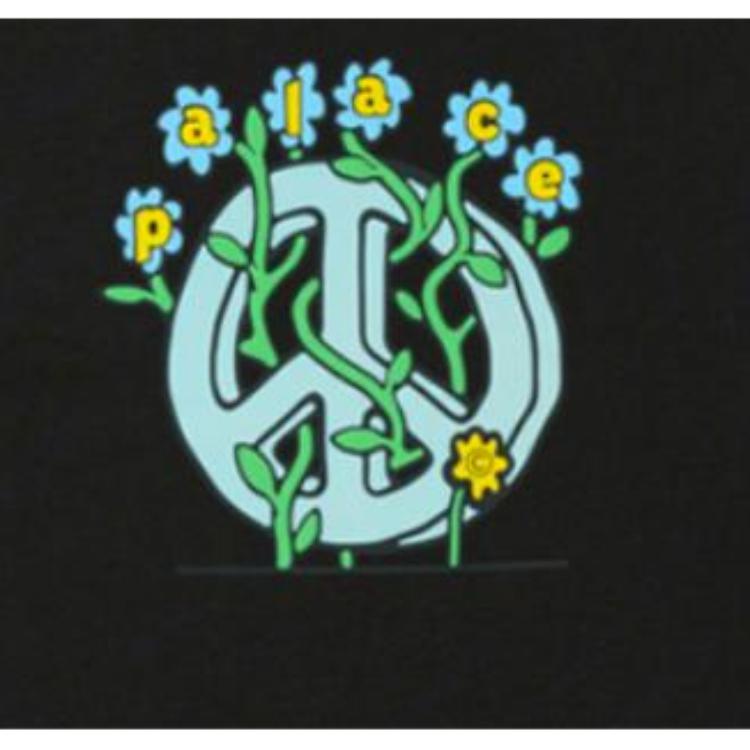 Palace Футболка Grower, черные топы унисекс P26TS085