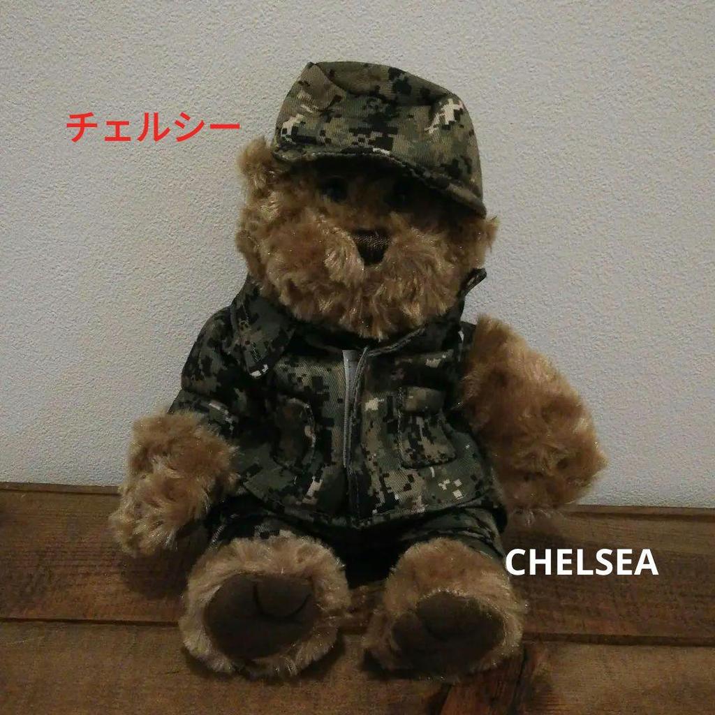 [USED] Rare American Souvenir Chelsea Army Teddy Bear