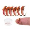 Bimoo 6PCS #12 #14 Classic Nymph Scud Fly Bug Worm for Trout Fishing Flies Nymphs Insect Bait Lure Brown Color