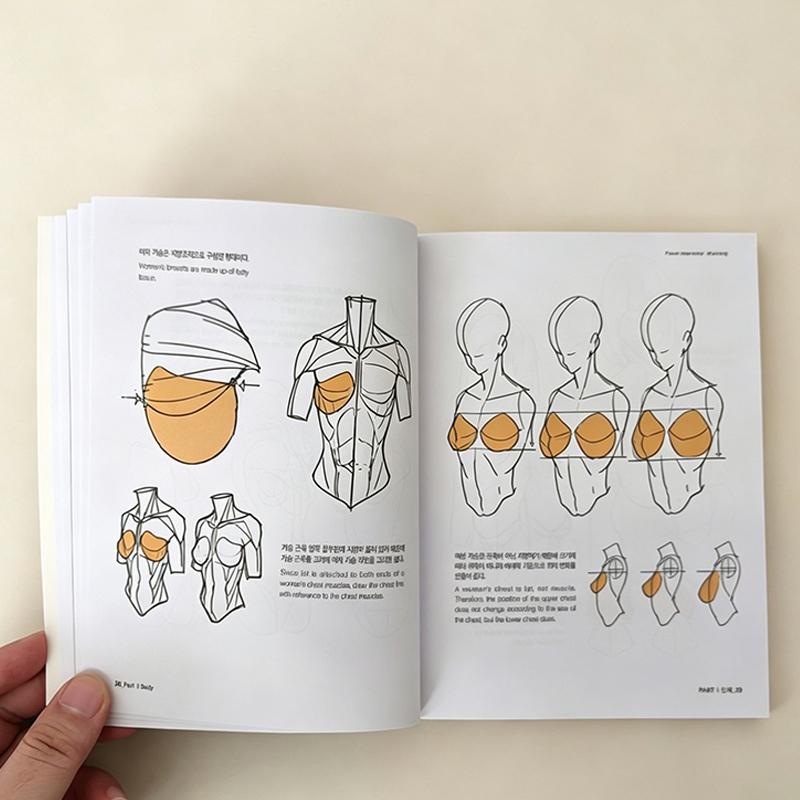 Bilingual English And Korean Point Character Drawing Taco Korean Painters Animation Character Quick Qrawing Art Book