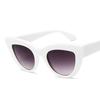 New Cat Eye Women Vintage Shaped Sun Glasses Tinted Color Lens Blue Sunglasses
