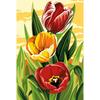 SEG Canvas Tulips 60 X 40 Cm