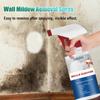 Mold Household Cleaner Mold Cleaner Foam Kitchen Bathroom Cleaning Spray Washing Machine Toilet Wall Joint Mold Remover Hou