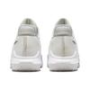 Nike Lebron Witness 6 EP White Metallic Pewter Мужские кроссовки Summit-White Light-Bone Aura DC8994-102