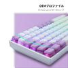 XVX Keycaps, 165-Key Print Keycaps, PBT Transparent Keycaps for Cherry MX Gateron Switch Keyboards, OEM Profile Keycaps (PurpleWhite)
