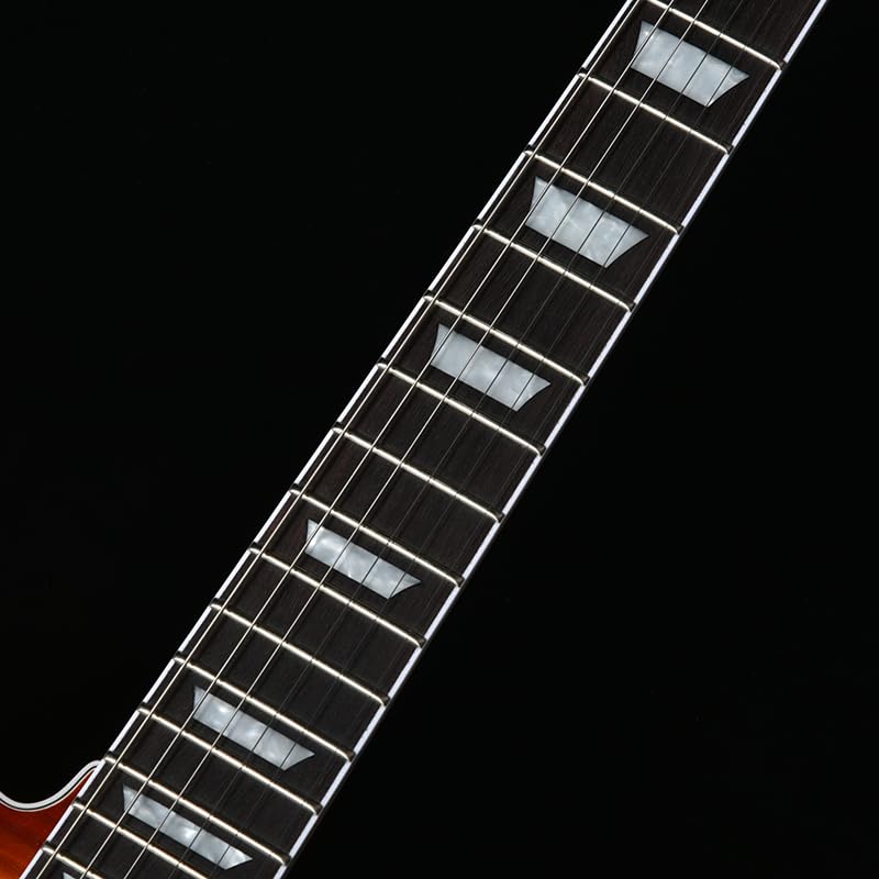 BACCHUS Global Series HB Электрогитара BARON-FM