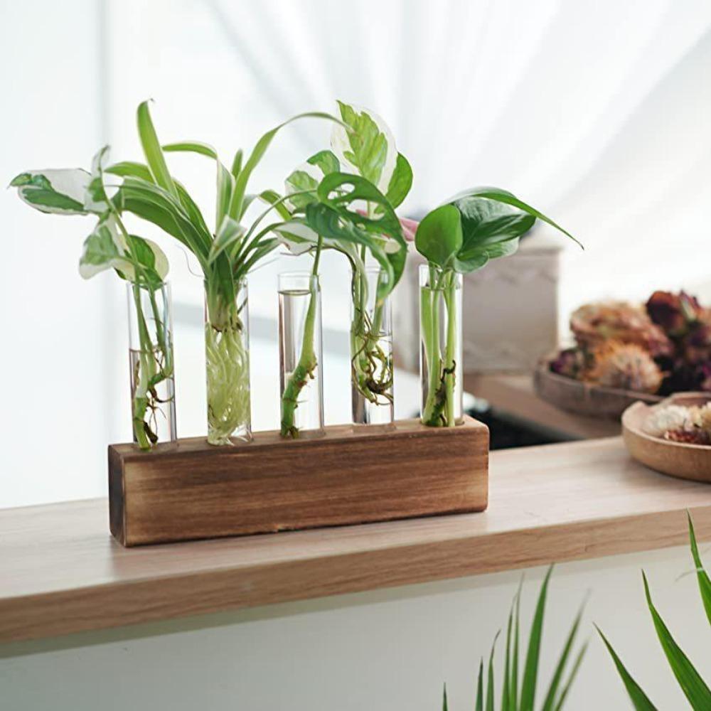 Transparent Glass Hydroponic Plants Container 3/4/5 Test Glass Tube Vases Test Tube Vases Weddings