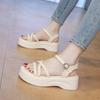 Internet Celebrities Super Fire Platform Small Sandals Women 2025 New Summer Wear Versatile Skirt Word with Roman Shoes