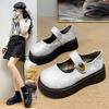 Round Head Printing Gentle New Chinese Thick Heel Mary Jane Shoes Women 2025 Autumn New Fairy Casual Platform Shoes