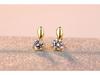 Fashionable Round Zircon Leaf Stud Earrings for Women