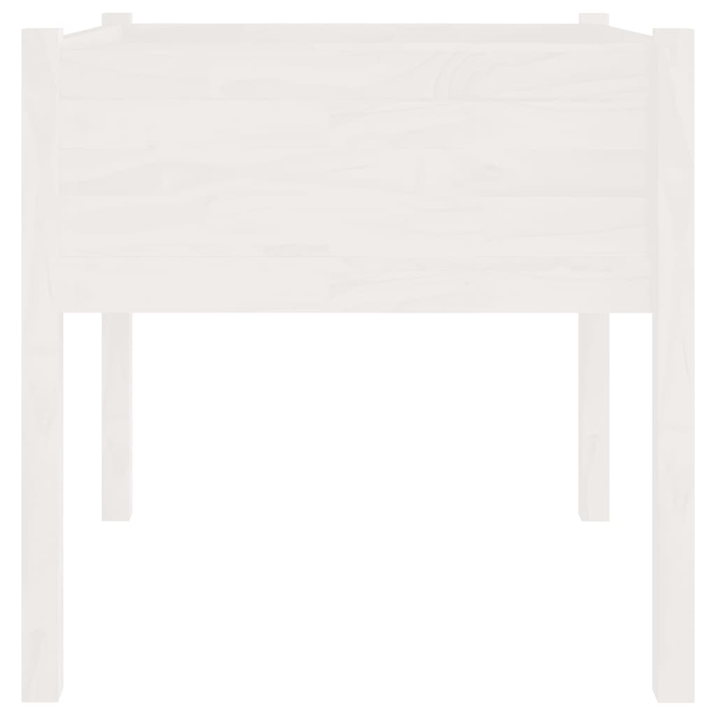 Planters 2 pcs White 70 x 70 x 70 cm Solid Pine Wood