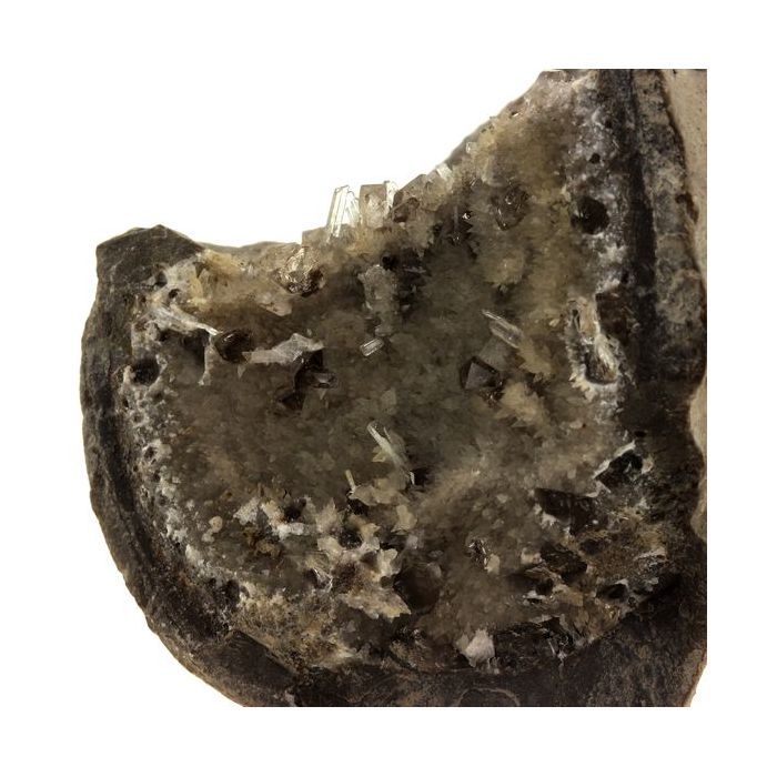 Pierres et Minéraux. Septaria, Quartz diamant, Celestine. 1222.0 ct. Condorcet, Drôme, France..