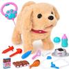 JoyGrow Pretend Play Walk with Your Moving Plush Toy with Robot Pet Care Doctor Play Educational Develops Role Gift for Girls and Boys Set, Dog,