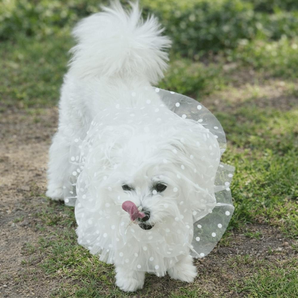 Сетчатая голова для питомца от комаров, дышащая, регулируемая, собачья голова от вылизывания, защитная маска для собаки с узором в виде сердечек/волнистых точек