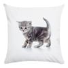 Cute Cat Pattern Of Animals Double-Sided Printed Pillow Cover Short Plush Suitable Living Rooms Bedrooms Throw Cushion Cover
