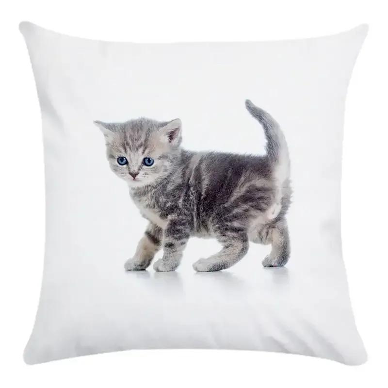 Cute Cat Pattern Of Animals Double-Sided Printed Pillow Cover Short Plush Suitable Living Rooms Bedrooms Throw Cushion Cover