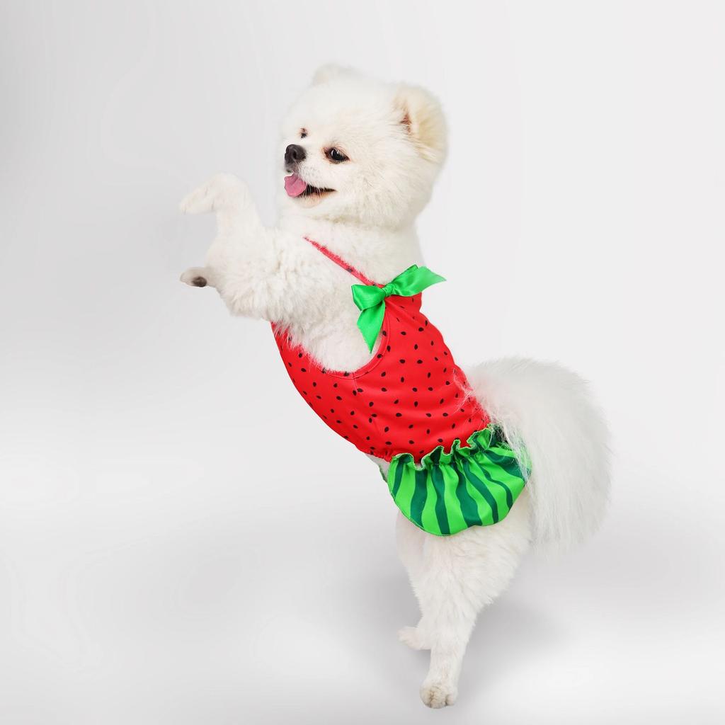 Dog Dress with Bow Summer Clothes Cute Small Dogs Skirt Suspender Watermelon Pattern Pet Clothing Puppy Dresses Cat Costumes