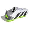 adidas Predator Accuracy.3 Low FG Crazyrush Pack Кроссовки унисекс White Cloud-White Core-Black GZ0014
