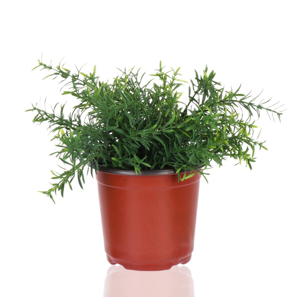 10 шт. садовых принадлежностей Мини Терракотовые Мягкие Пластиковые Вазы для цветов Поддоны для растений Круглые кашпо Детские горшки