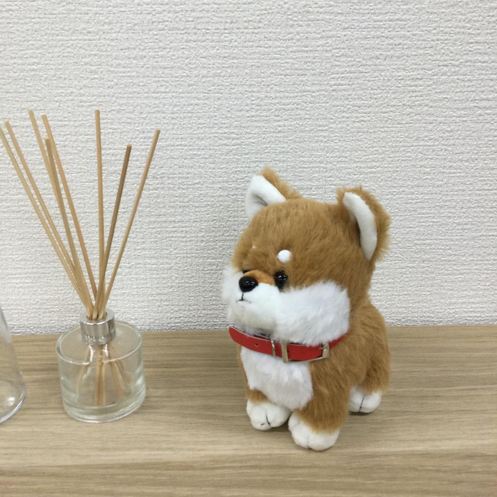 Cute Sales Plush Toy D0054 Poteinu-chan Shiba-chan