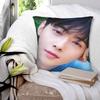 ЧА ЫН У kpop ASTRO Наволочки Мерч Печать Наволочка для Подушки Чехлы для Подушек Декор для Дивана На Молнии Разные Размеры