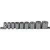 SIGNET 3/8 Drive 9-Piece Inch Socket Set 12115
