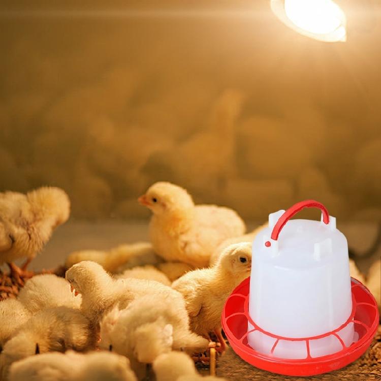 Набор из 4 кормушек для цыплят с 2 автоматическими поилками, конструкция, предотвращающая просыпание, 4 кормушки для маленьких птиц, перепелов, уток, аксессуары для курятников