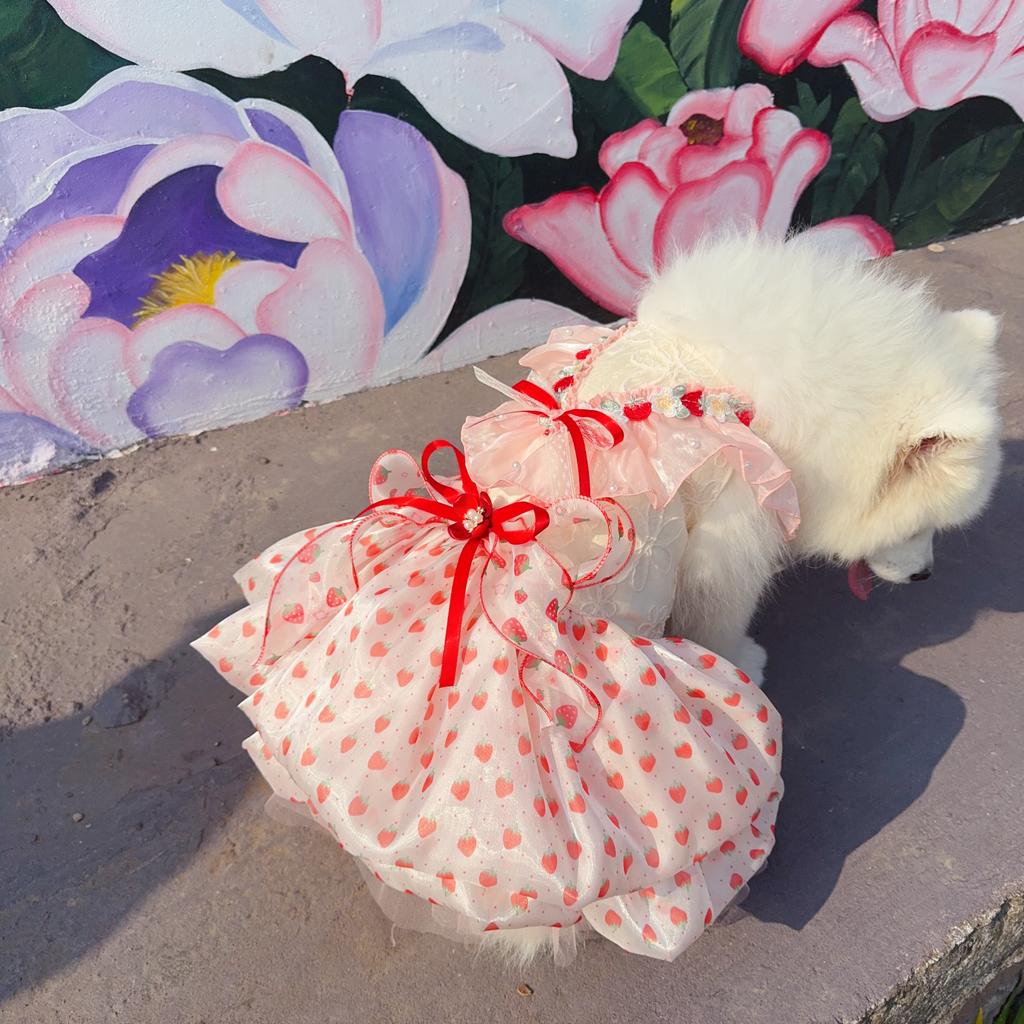2026 Spring Summer Pet Dog Clothes Fashion Cute Strawberry Print Bow Pink Princess Dress For Small Medium Dog Puppy Overalls