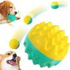Dogs Interactive Toys Soft TPR Toys Pet Teeth Cleaning Bite Resistance Squeaky For Puppy Small Medium Dogs Ball Toy