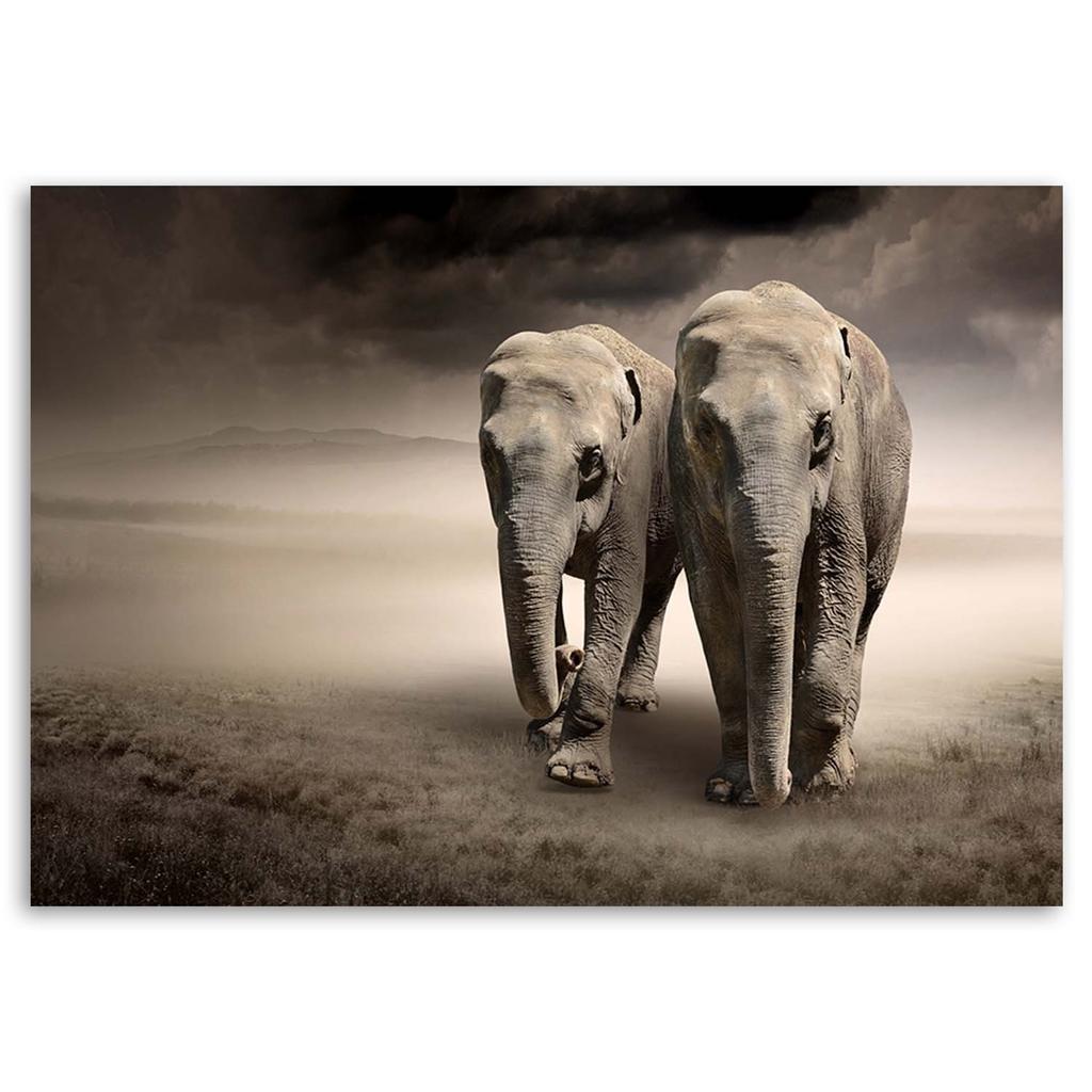 Canvas print, Elephants in the desert