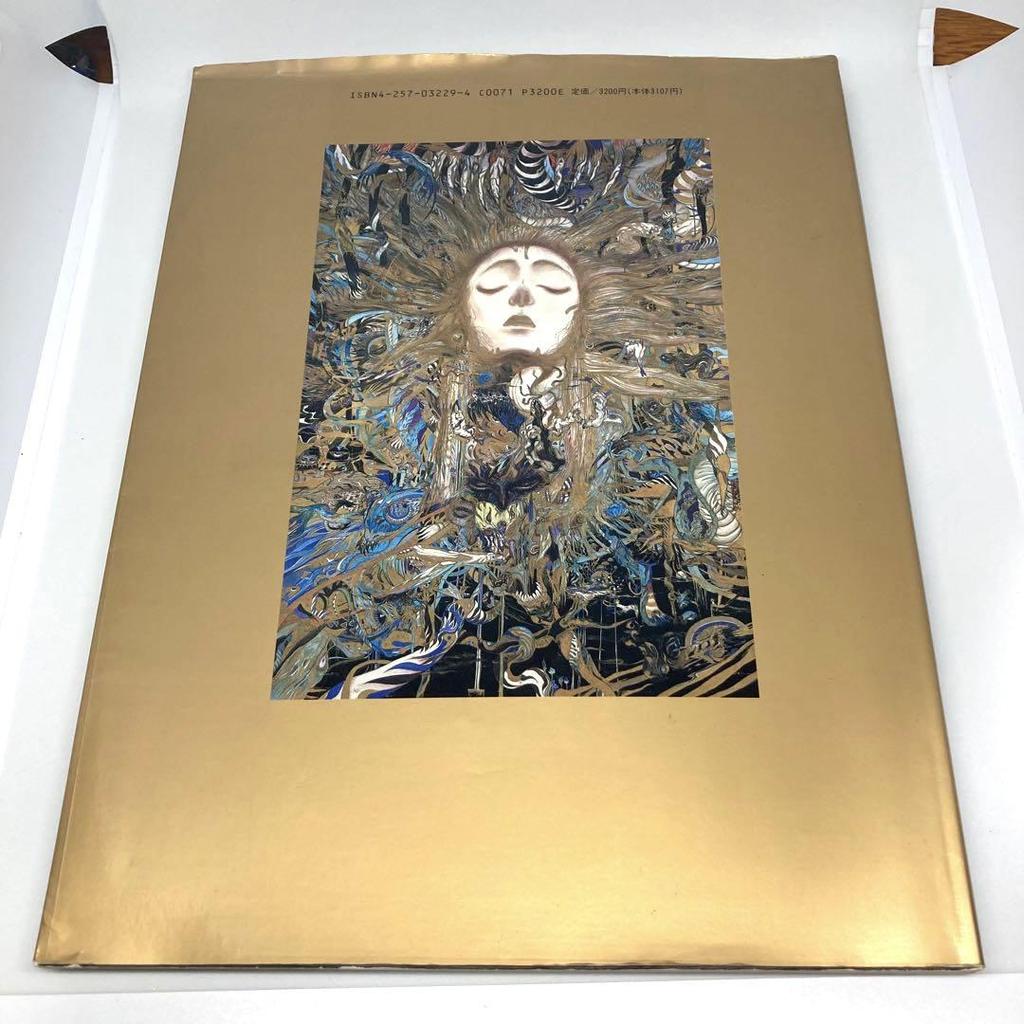 [USED] Yoshitaka Amano Hiten and Maten Art Book Set of 2