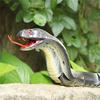 Electric Infrared Remote Control Cobra Tongue Retractable Simulation Rattlesnake Remote Control